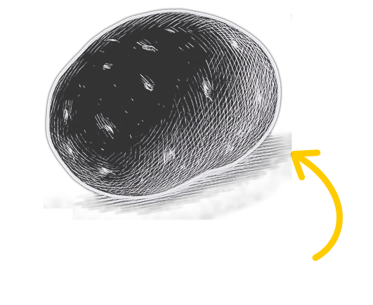 patate-2